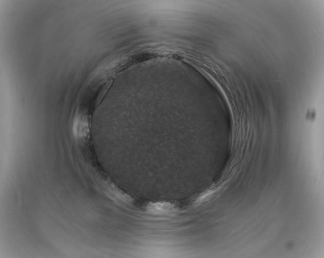 X0000094180137200710261139