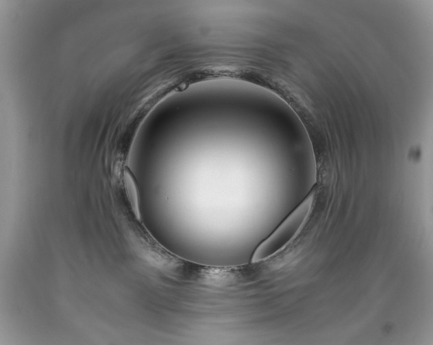 X0000094180141200710261139