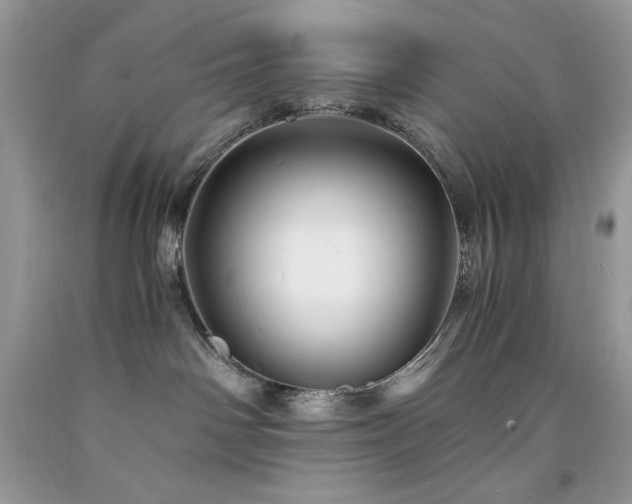 X0000094180142200710261139