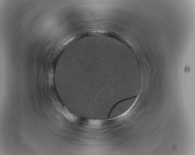 X0000094180144200710261139