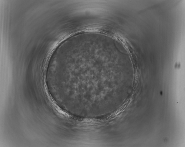 X0000094180145200710261139