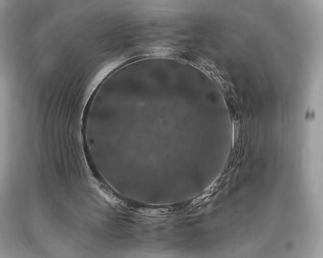 X0000094180147200710261139
