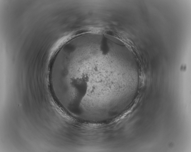 X0000094180149200710261139