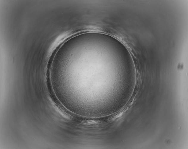 X0000094180151200710261139