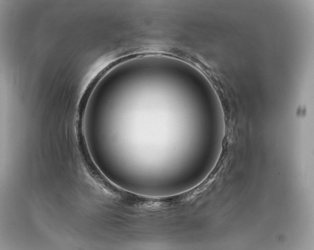 X0000094180152200710261139