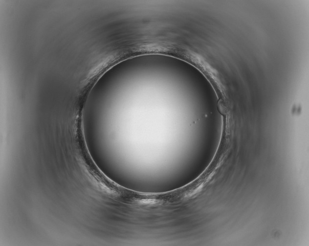 X0000094180153200710261139