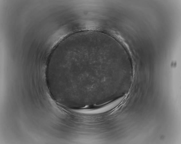 X0000094180154200710261139