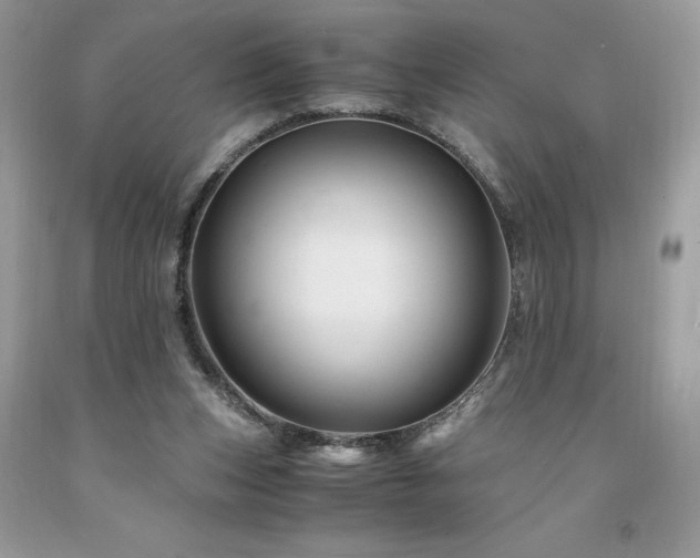 X0000094180159200710261139