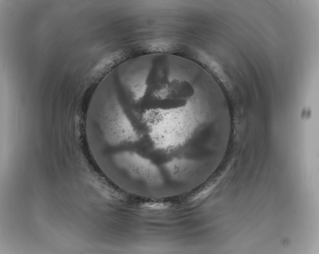 X0000094180161200710261139