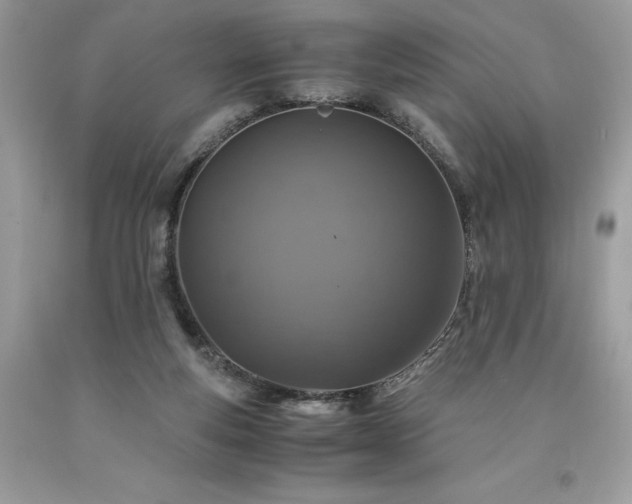X0000094180163200710261139