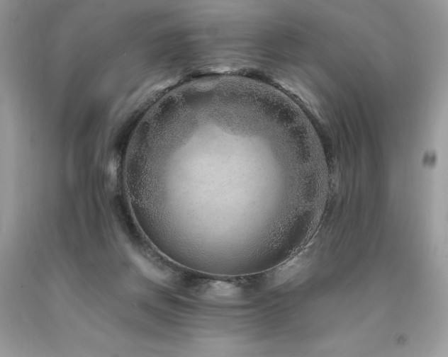 X0000094180166200710261139