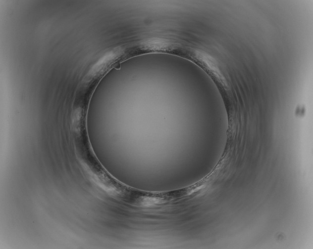 X0000094180167200710261139