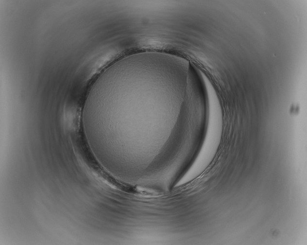 X0000094180168200710261139