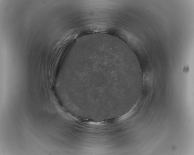 X0000094180170200710261139