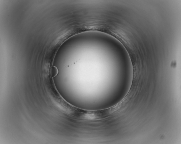 X0000094180171200710261139