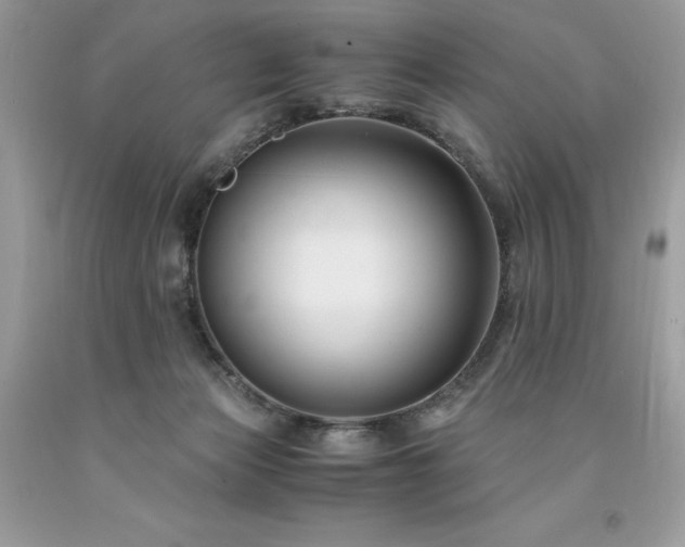 X0000094180173200710261139