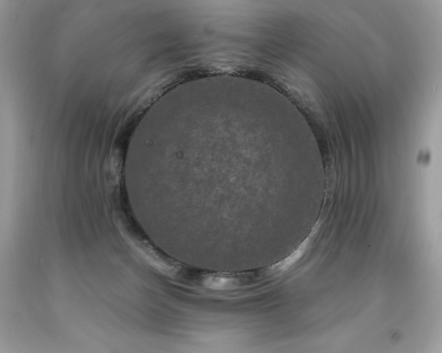 X0000094180174200710261139