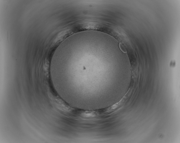 X0000094180175200710261139
