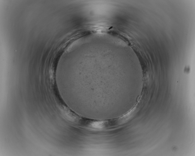 X0000094180178200710261139