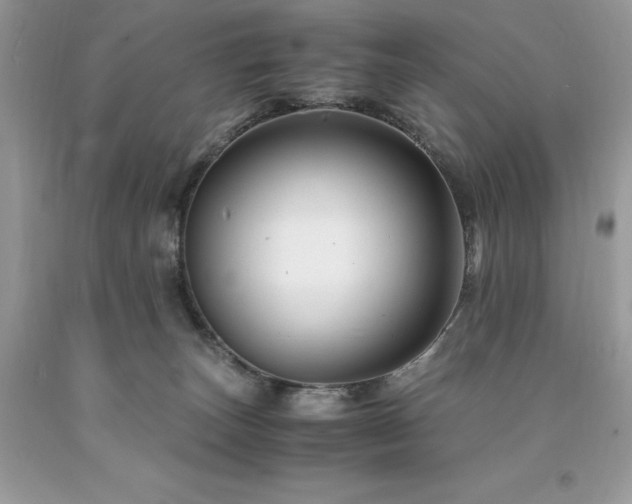 X0000094180179200710261139