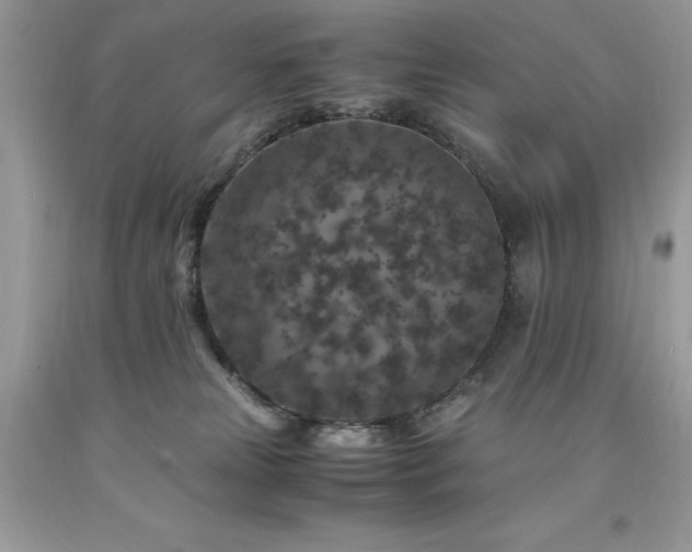 X0000094180181200710261139