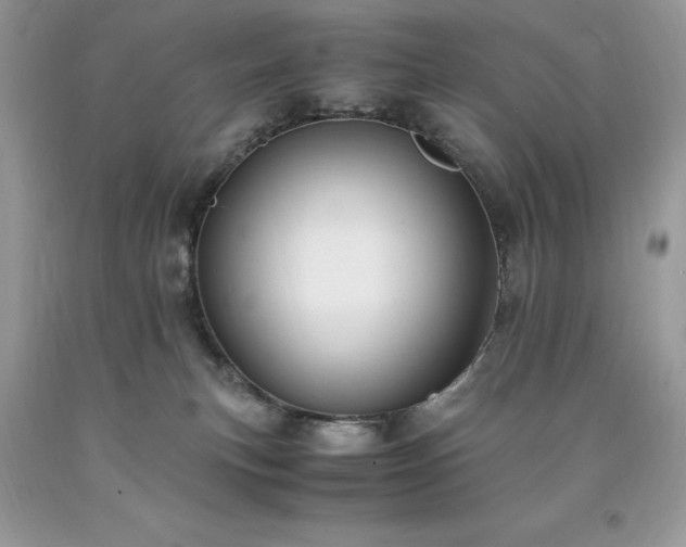 X0000094180183200710261139