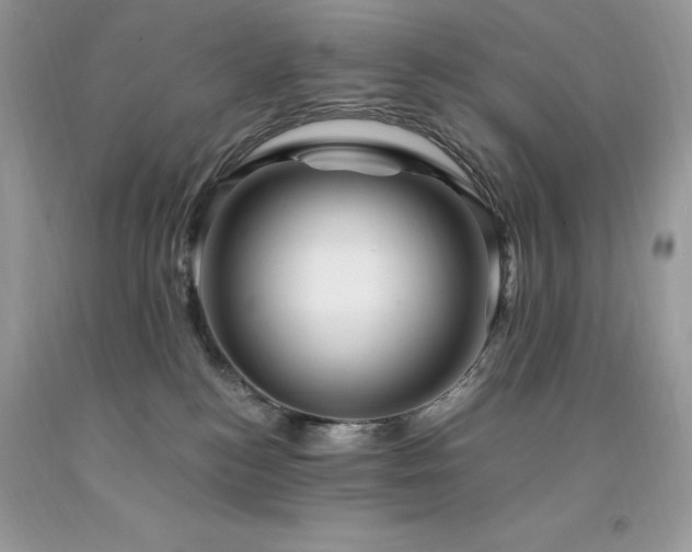X0000094180184200710261139