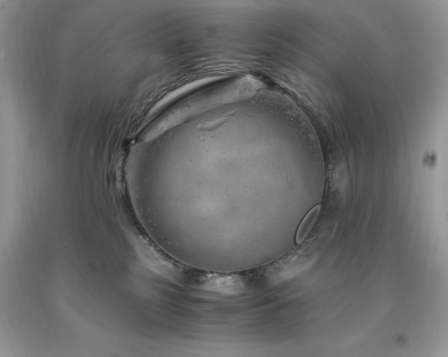 X0000094180185200710261139