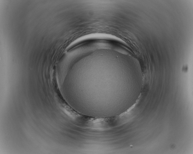 X0000094180186200710261139