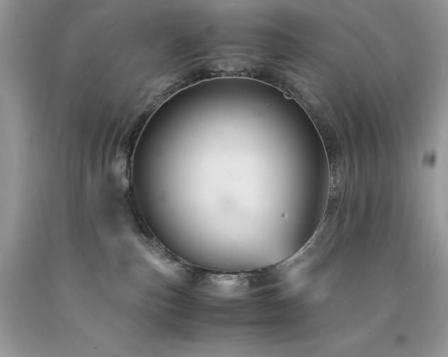 X0000094180187200710261139