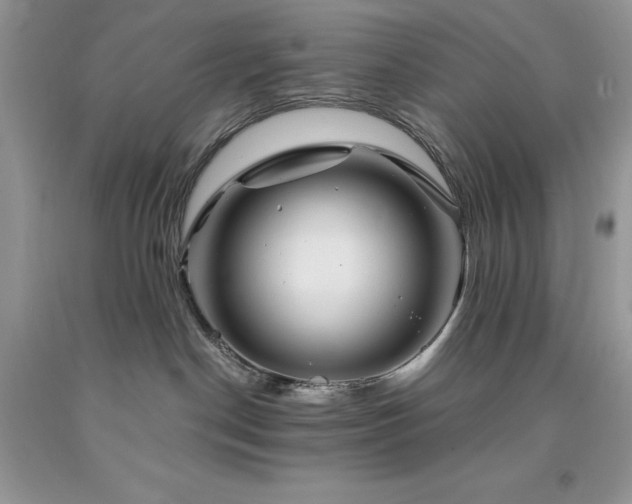 X0000094180190200710261139