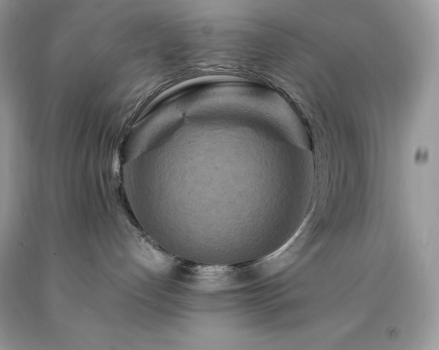 X0000094180192200710261139