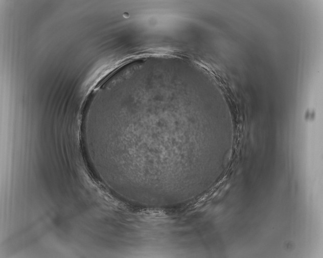 X0000094180194200710261139