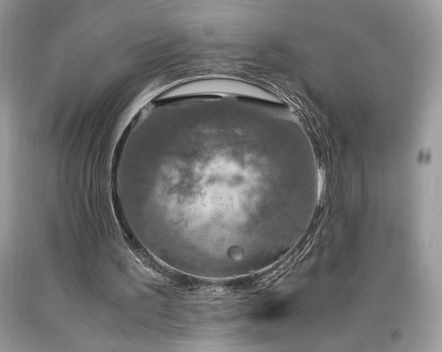 X0000094180195200710261139