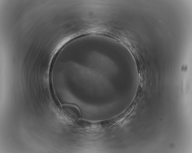 X0000094180196200710261139