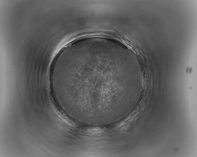 X0000094180198200710261139