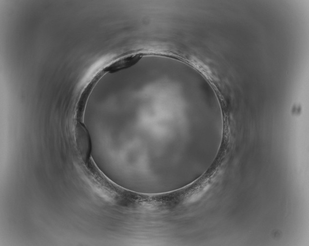 X0000094180199200710261139