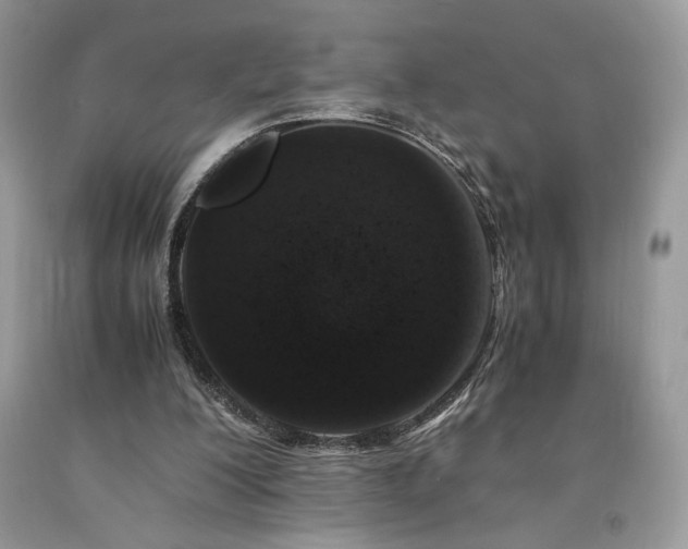 X0000094180200200710261139