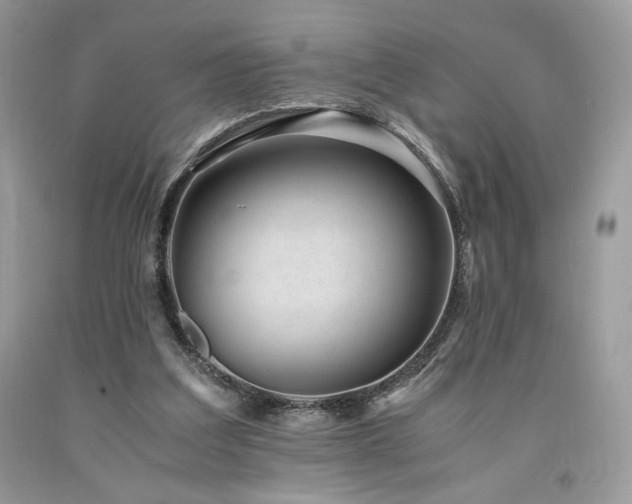 X0000094180203200710261139