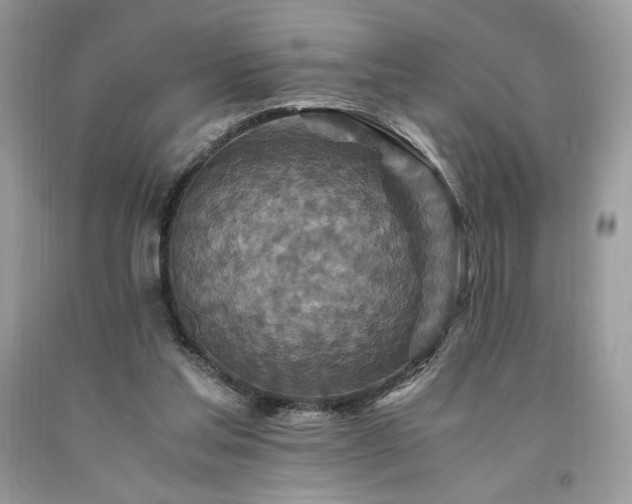 X0000094180205200710261139