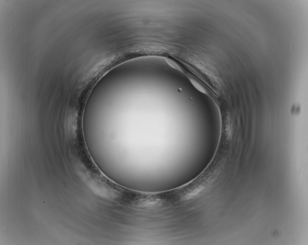 X0000094180206200710261139