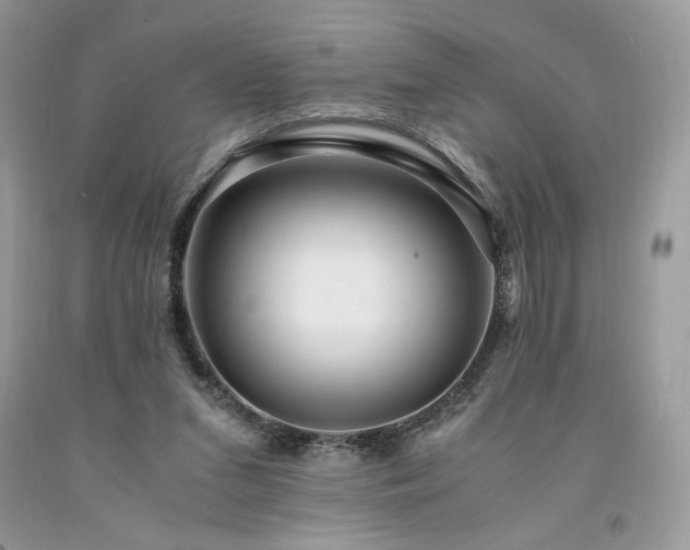 X0000094180207200710261138