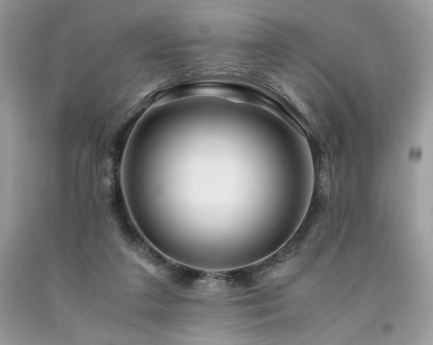X0000094180211200710261138