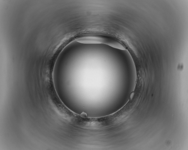 X0000094180212200710261138