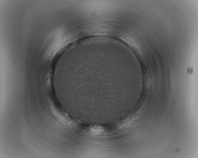 X0000094180214200710261138