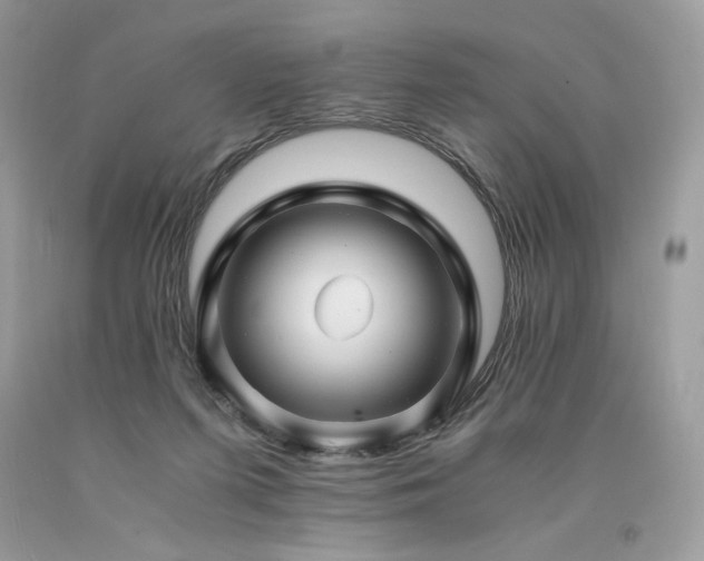 X0000094180215200710261138