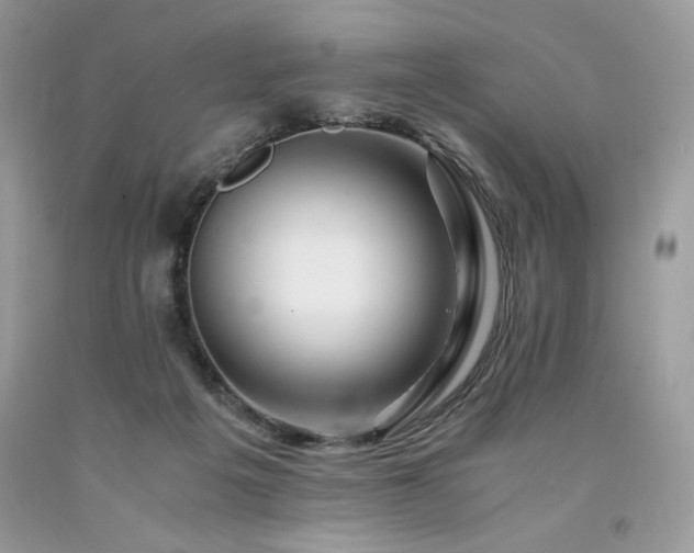 X0000094180217200710261138