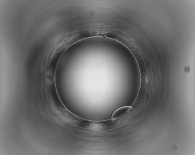 X0000094180218200710261138