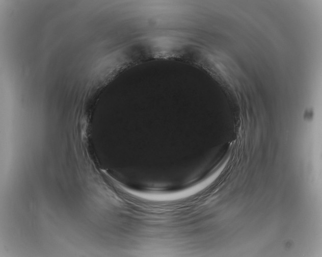X0000094180219200710261138