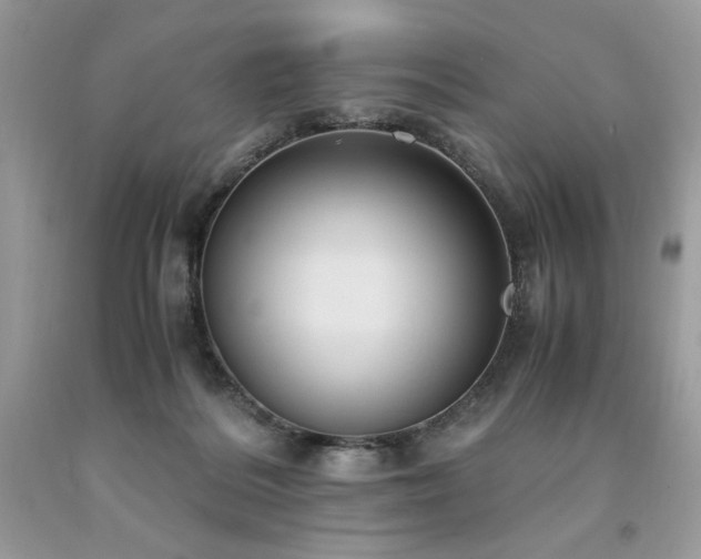 X0000094180220200710261138